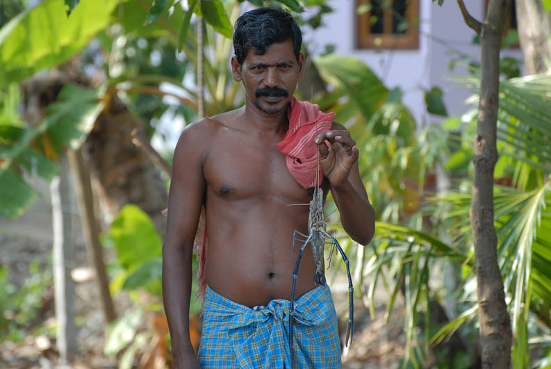 Backwaters (Kerala)