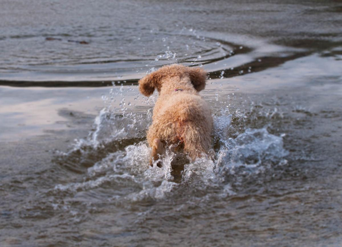 baden im Herbst