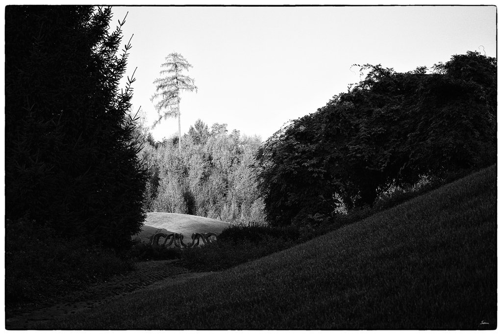 BadenDSC 3104
