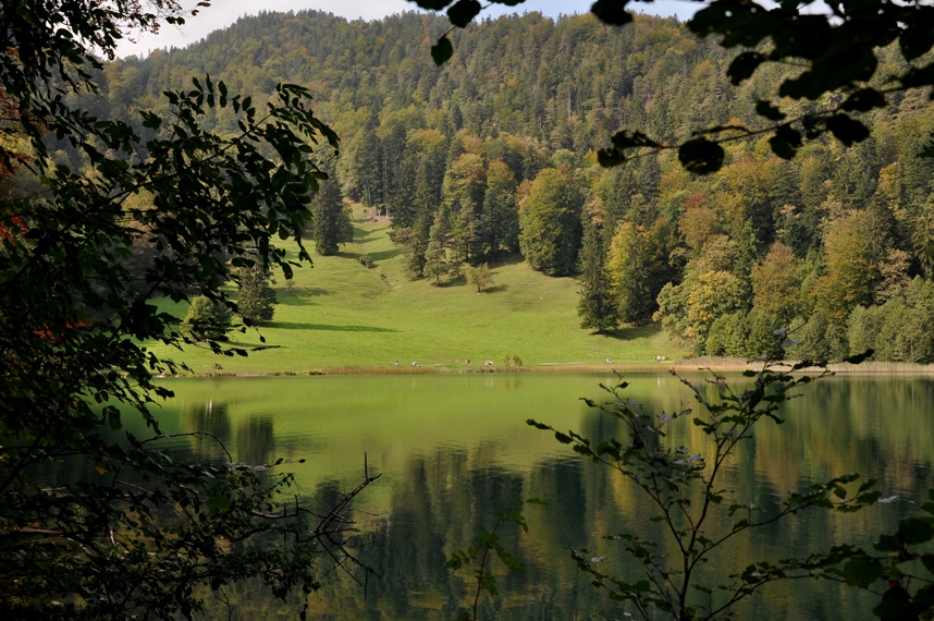 Badewiese am Alatsee