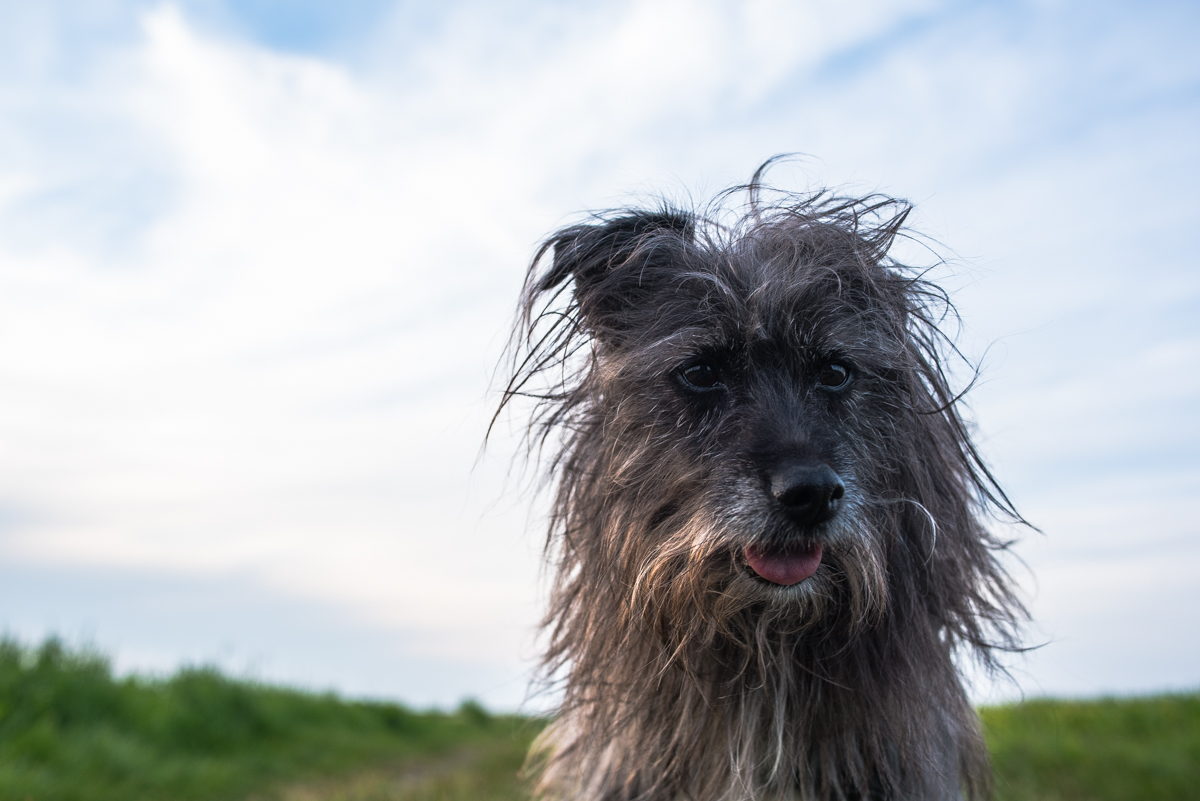 BadHairDay 2