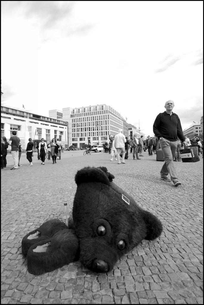 Baer   Berlin sw  D7K2679