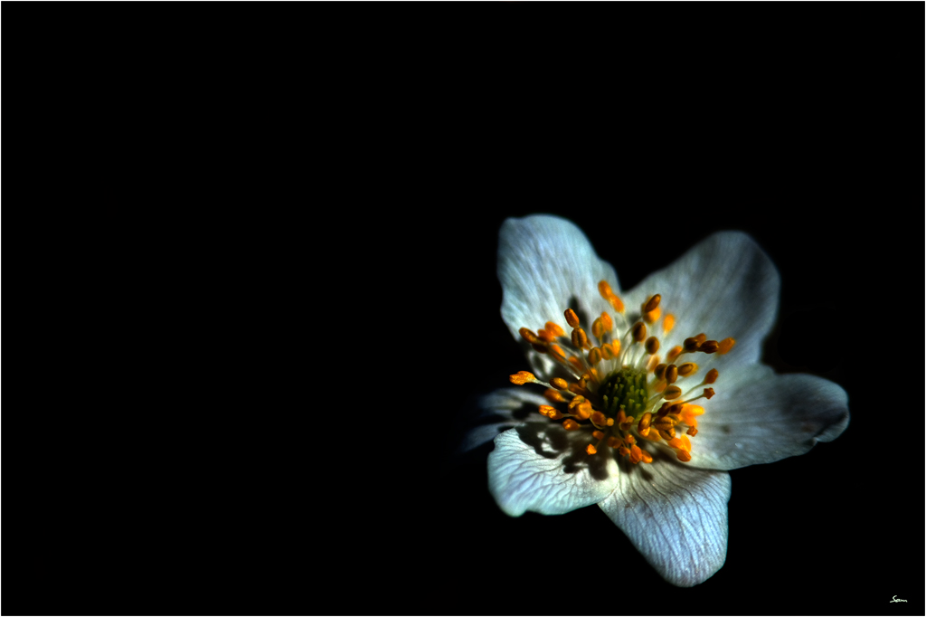 BalgenDSC 9487