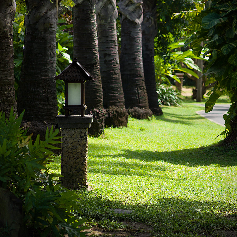 Baligarden bonnescape