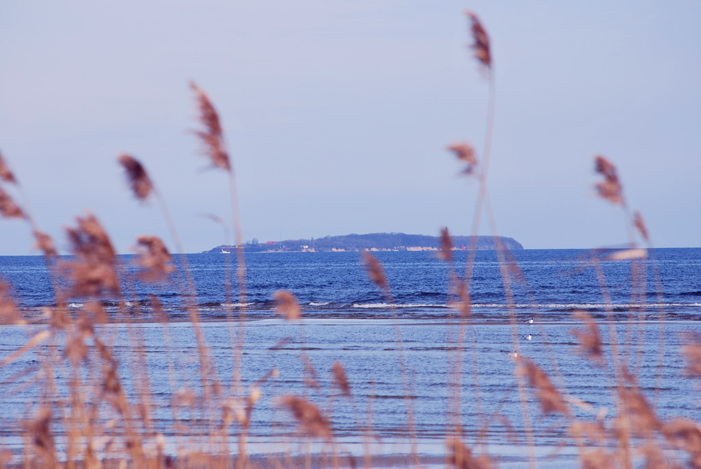 Balticblue