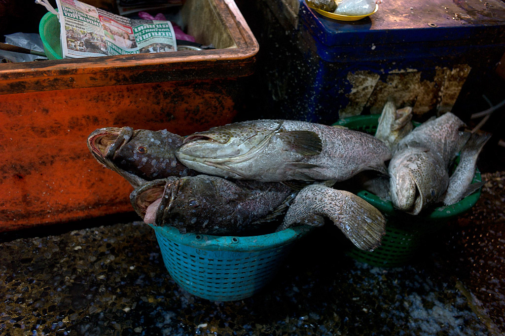 bangkok klong toey market 1016157