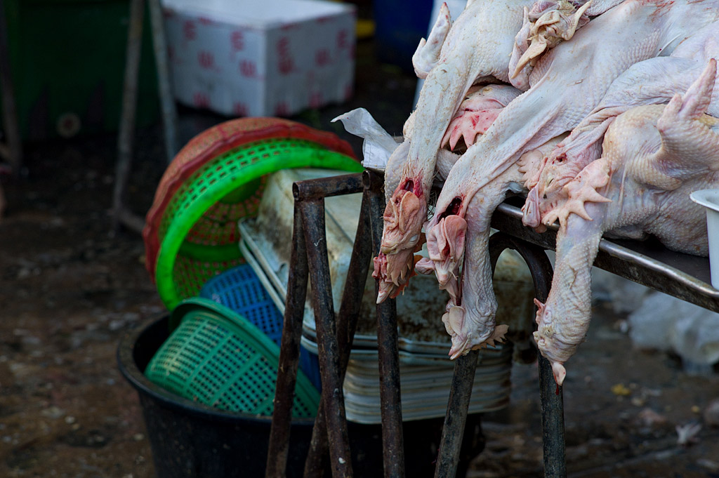 bangkok klong toey market 1016331