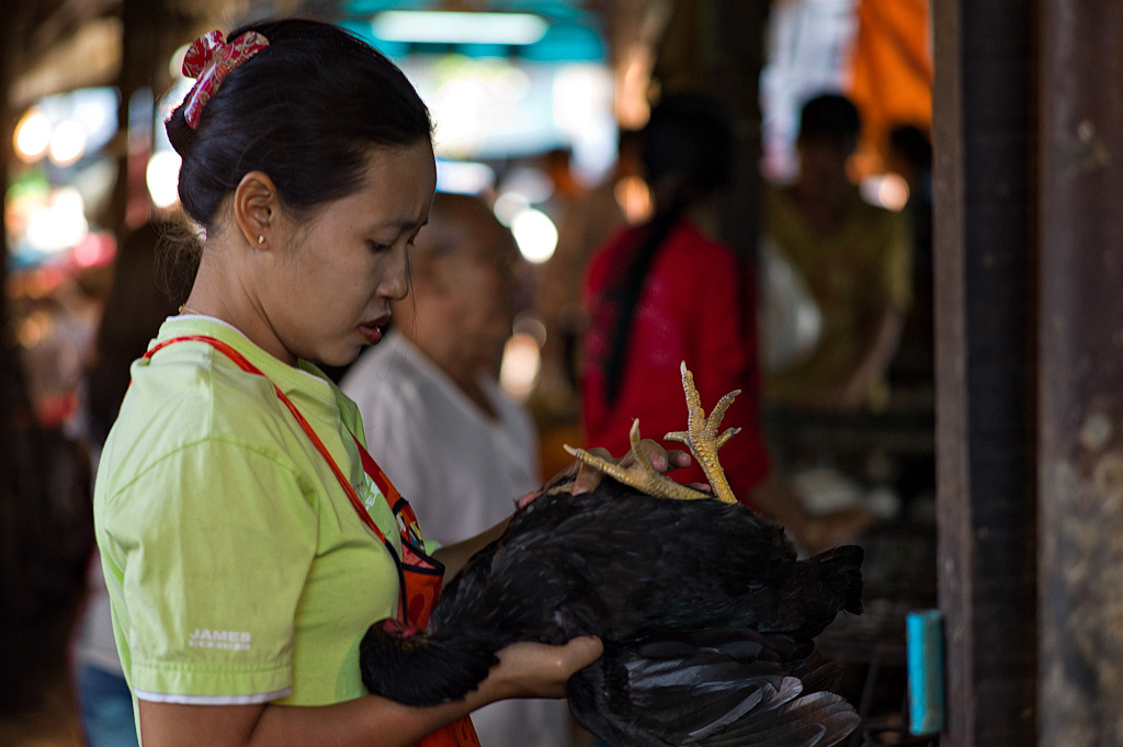 bangkok klong toey market 1016371
