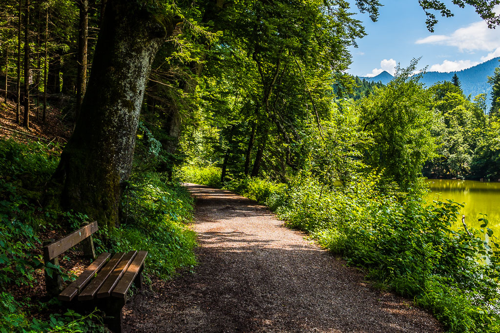 Bank am Hohenburger Schlossweiher