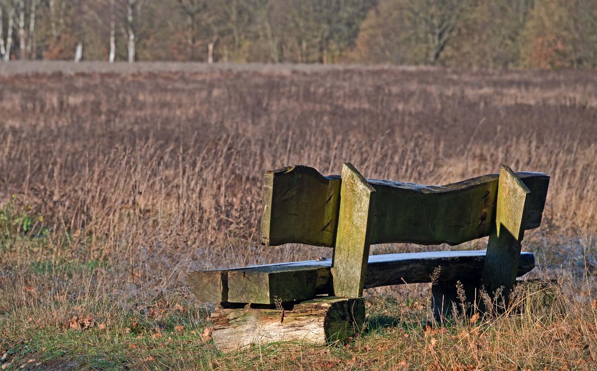 Bank an der Brache.jpg