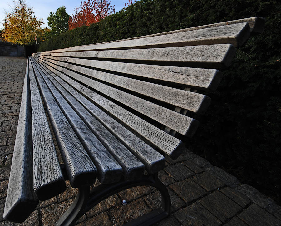 Bank im Herbst