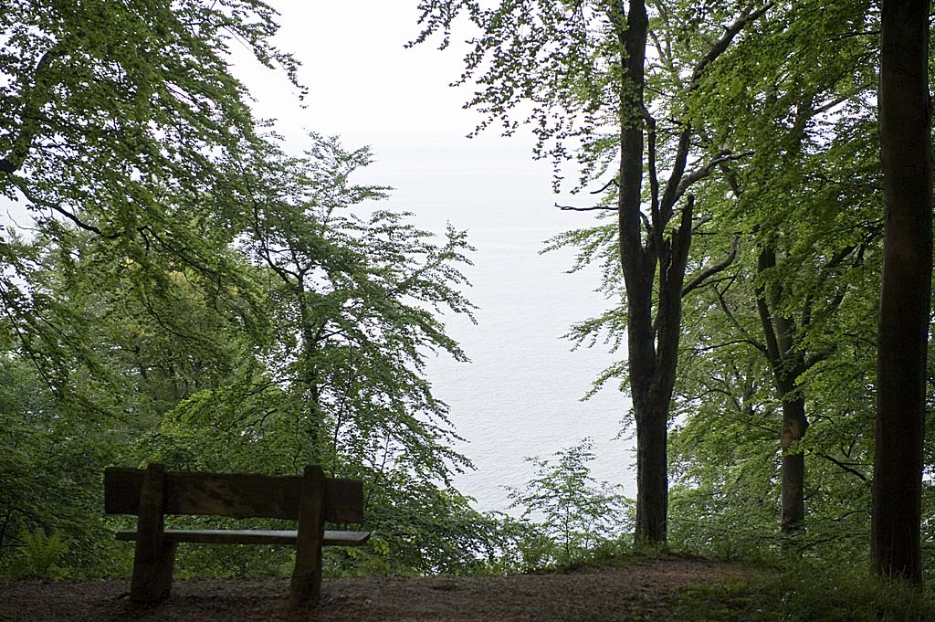 Bank im Wald am Meer 1k