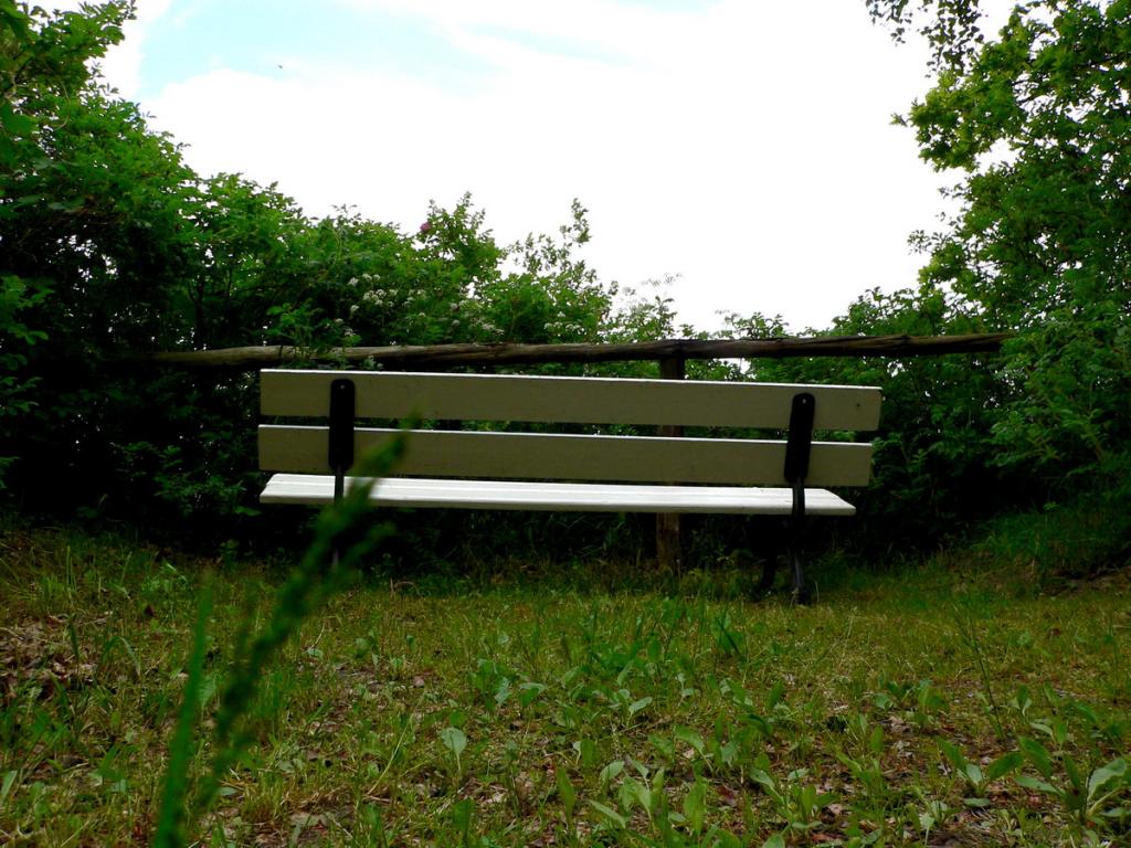 Bank mit Blick ins Nirgentwo   Usedom
oder ein ,, schildbürgerstreich ,, der gemeinde ??