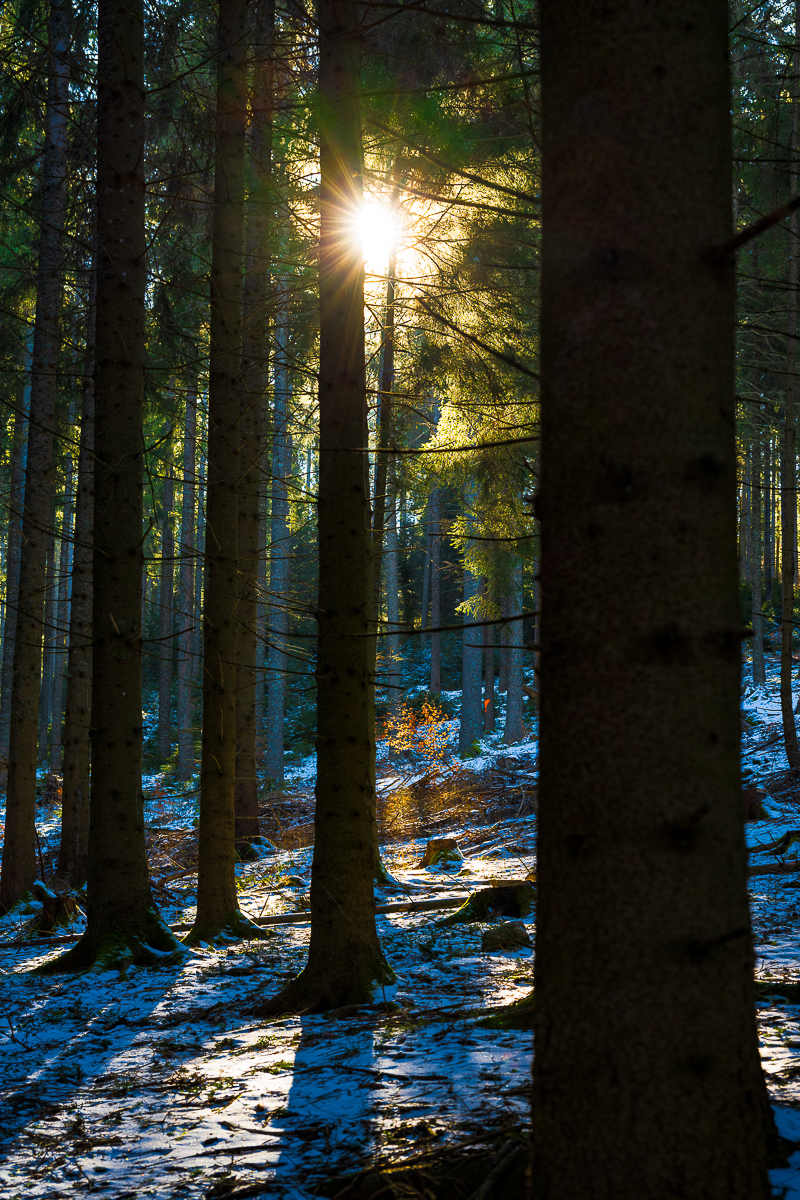 Bankenhof Titisee-9551-Bearbeitet.jpg