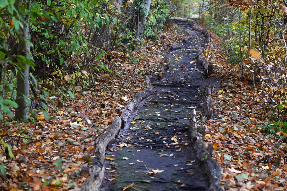 Barfußpfad.jpg