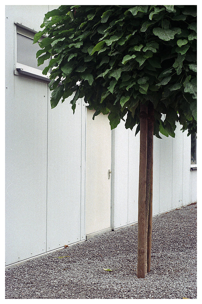 Barnack1
