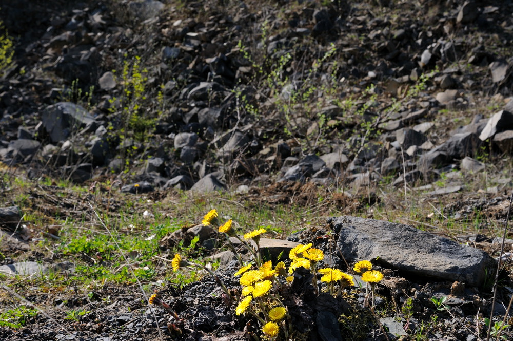 basalt02