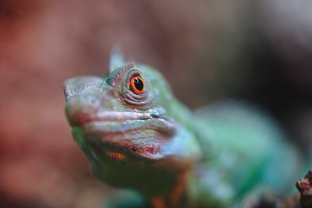 Basilisk