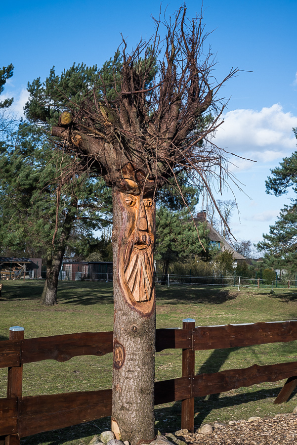 Baum 2 (1 von 1).jpg