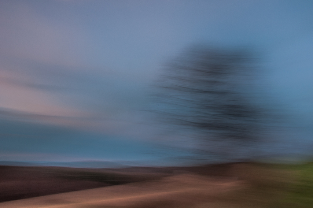 baum am berg 2