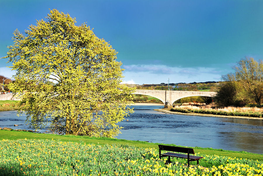 Baum am Dee Aberdeen
