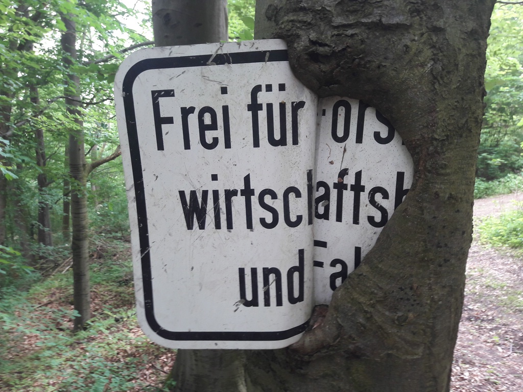 Baum frisst Schild