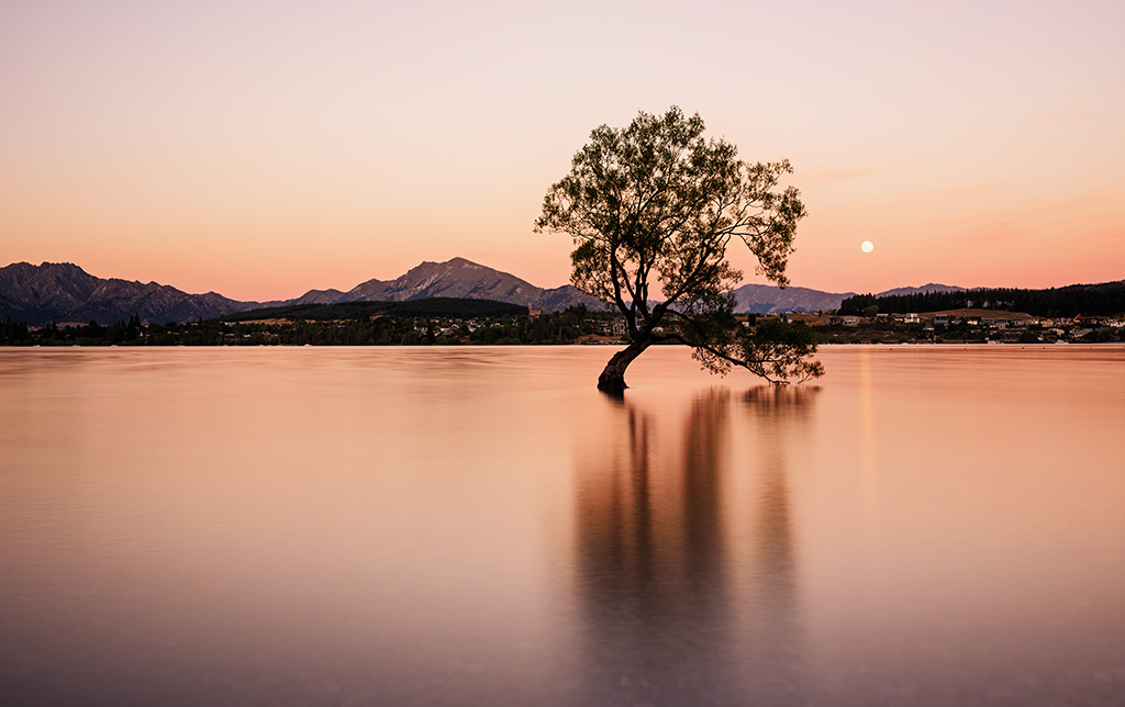 Baum Lake Wanaka klein