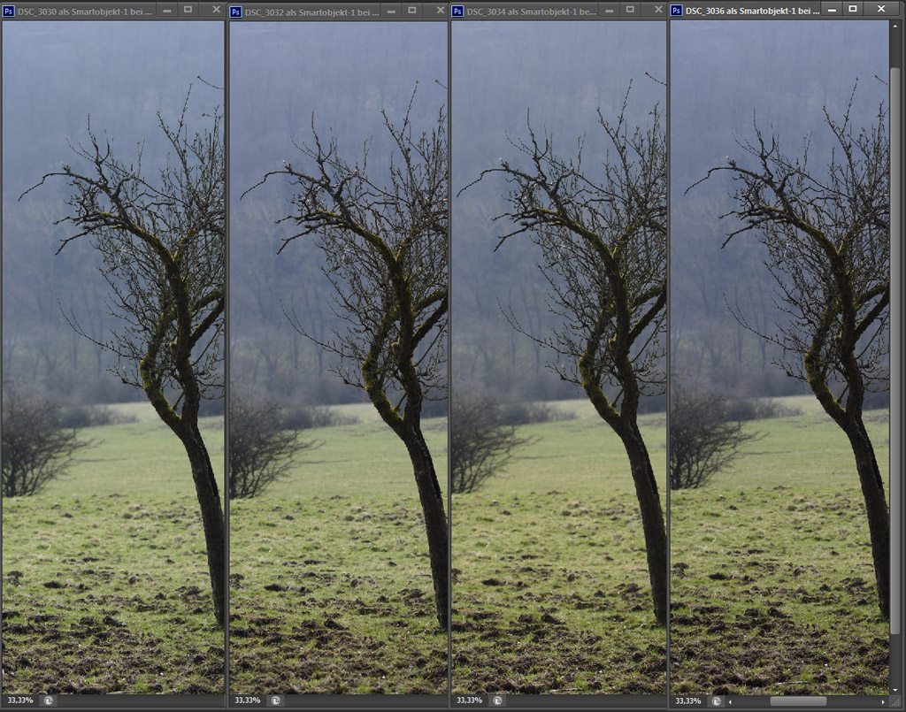 Baum mal 4