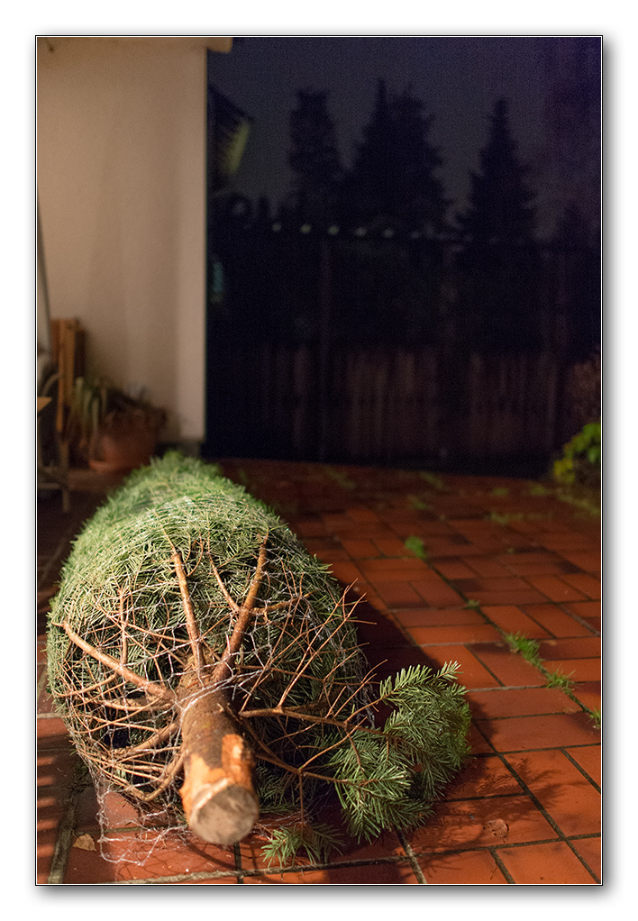 baum1