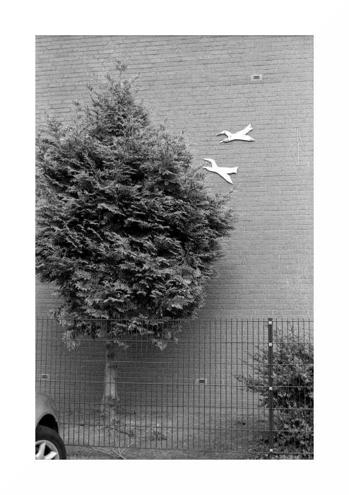 baum2