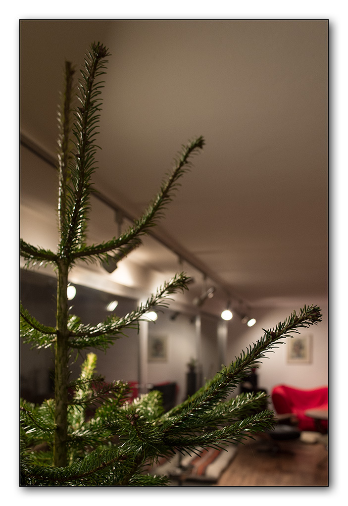 baum3