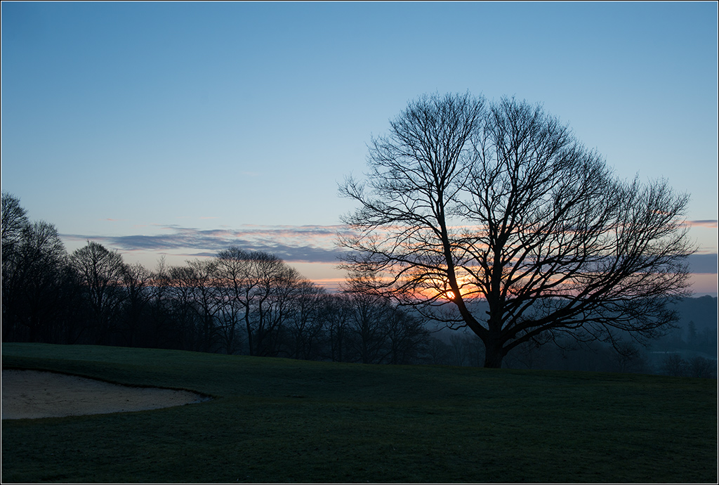 baum3