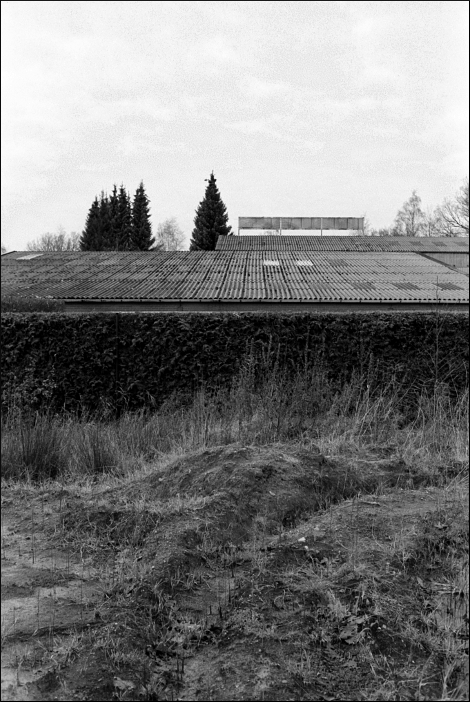 baumensemble3