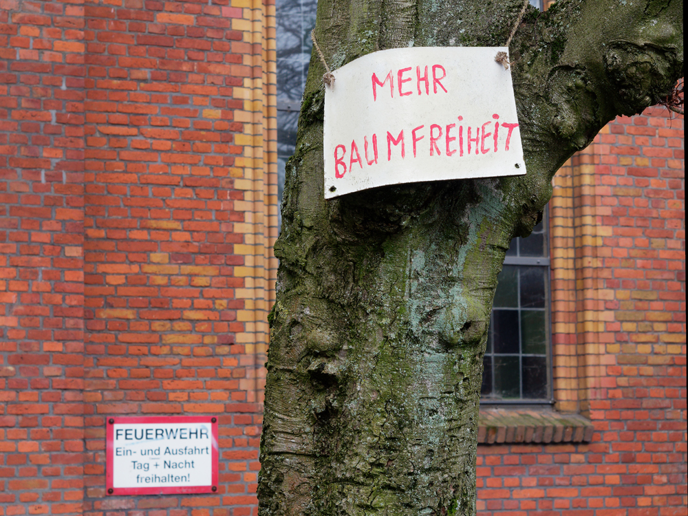 Baumfreiheit.jpg