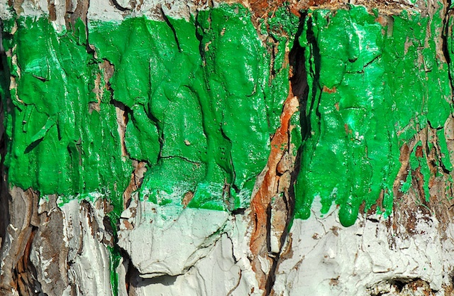 Baummarkierung