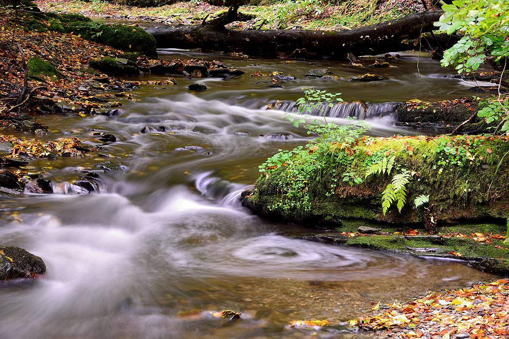 Baybach 0021
Taumschleife Baybachklamm bei leichtem Regen am 14.10.2012
D800E auf Sirui N-2204 und Kugelkopf K-20X