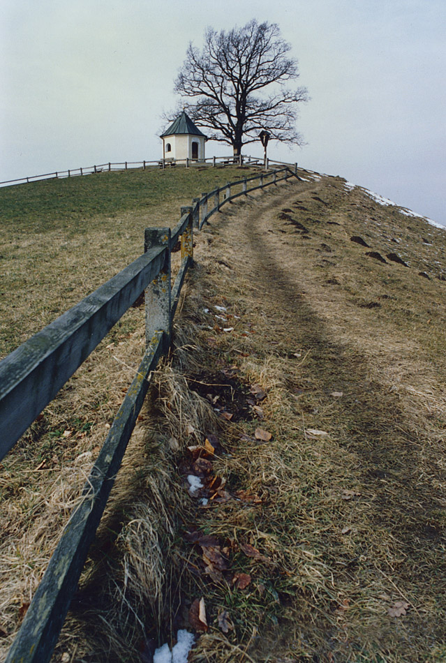 Bayern 15