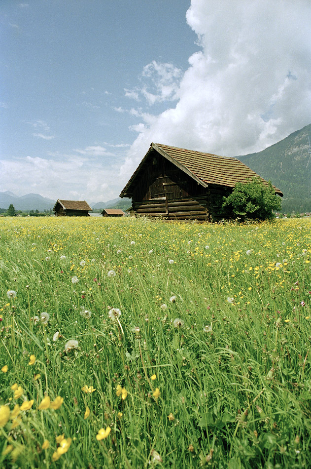 Bayern 63