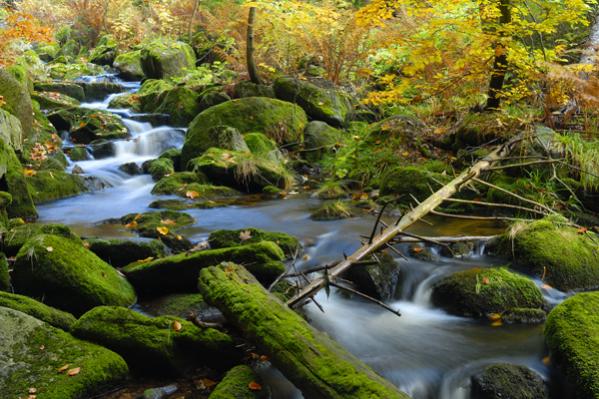 Bayern Kleine Ohe im Herbst