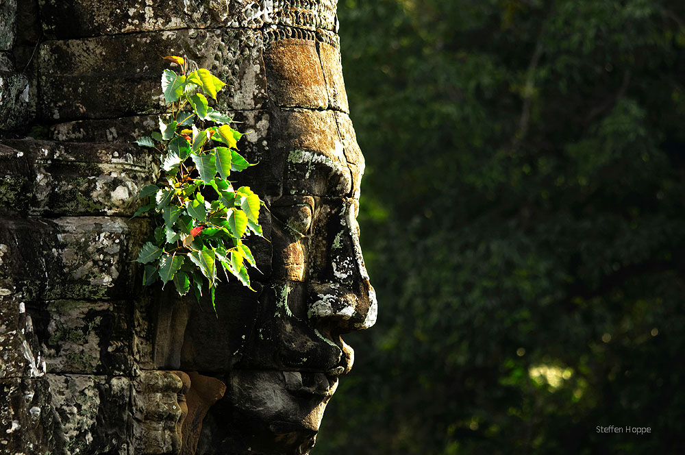 Bayon R33