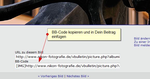 bbcode