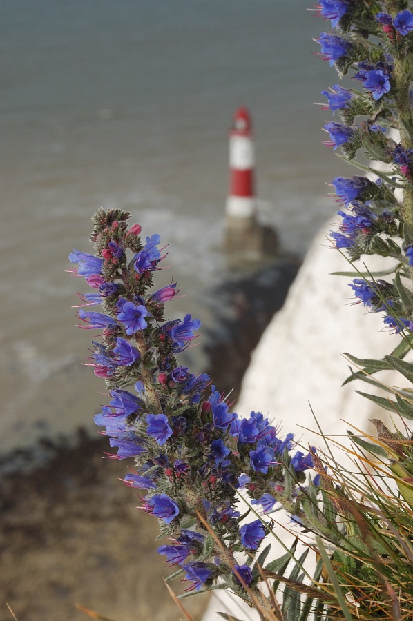 Beachy Head