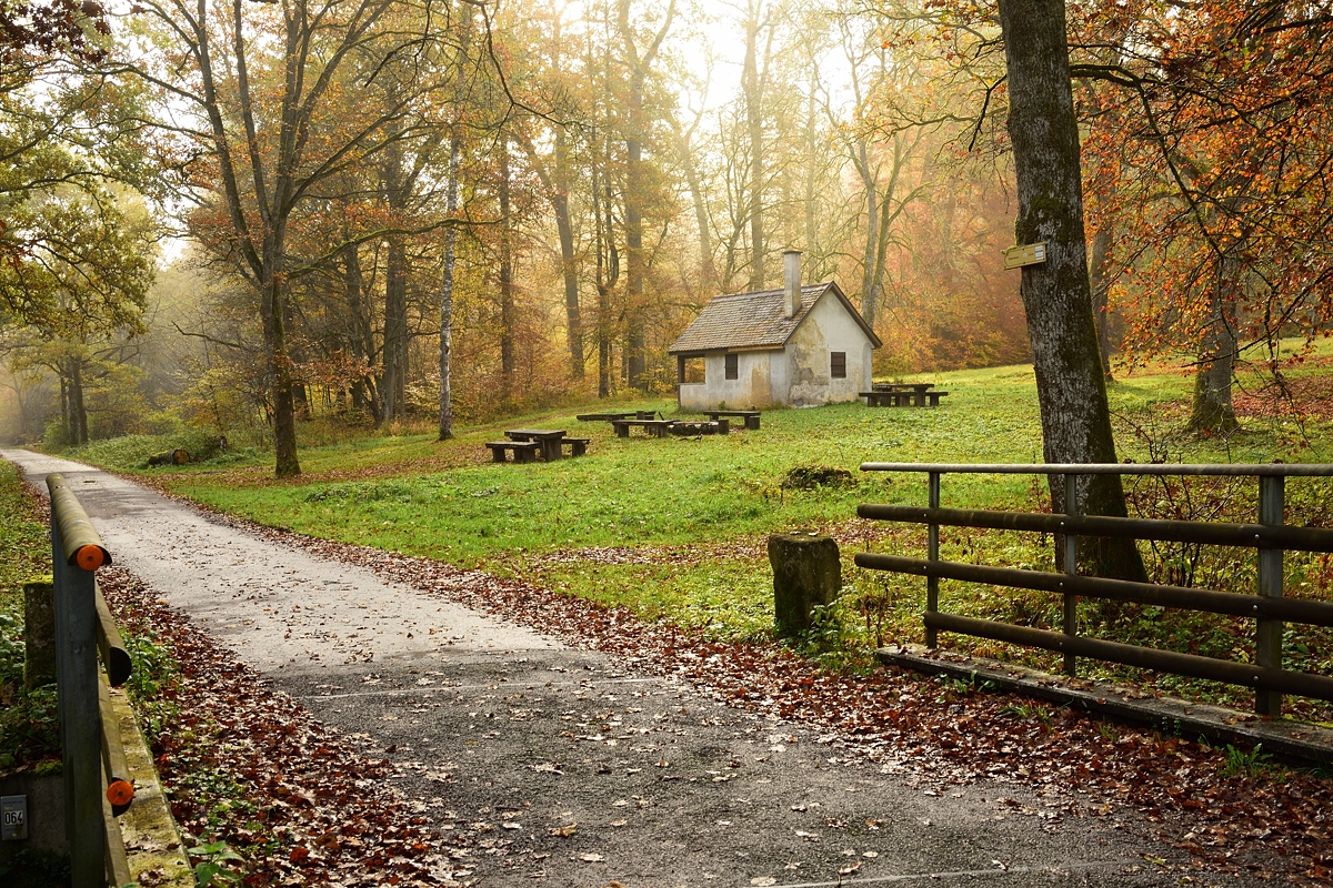 Becklesgartenhütte-2019_23900.jpg