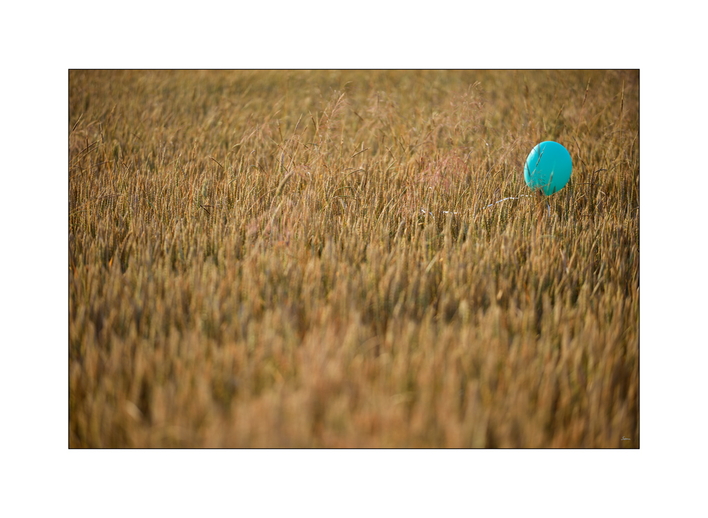 BeetPZ1 7669