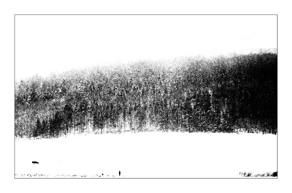 BegegnungDSC 8572