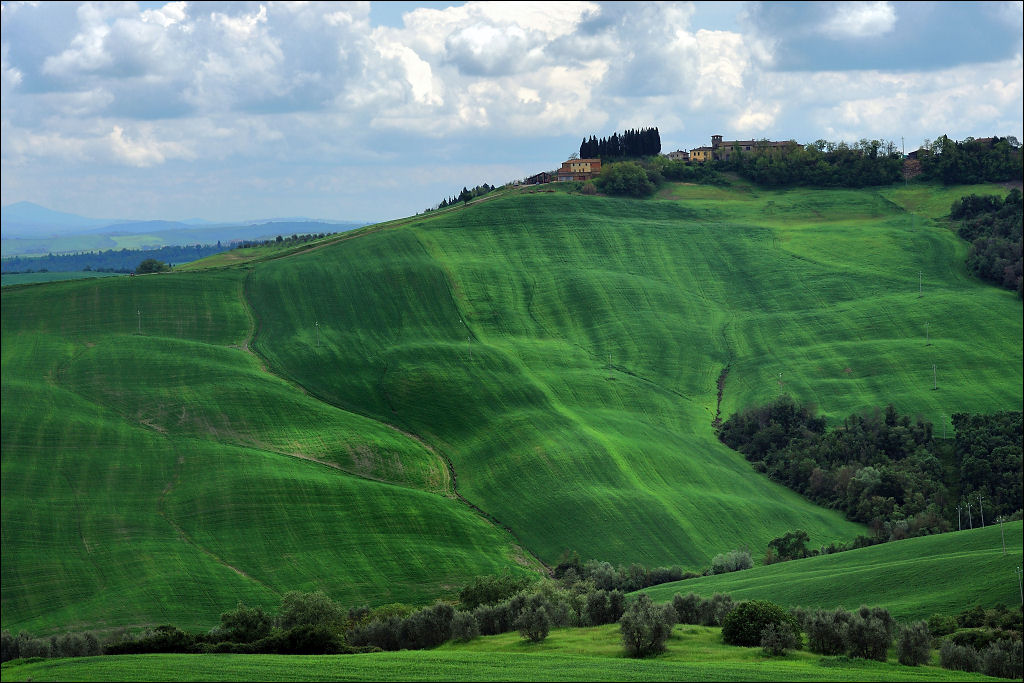 Bei Asciano