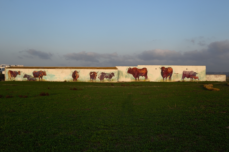 Bei Conil de la Frontera, Andalusien