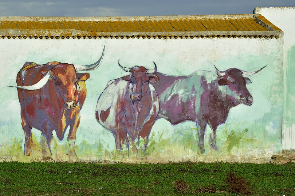 Bei Conil de la Frontera, Andalusien