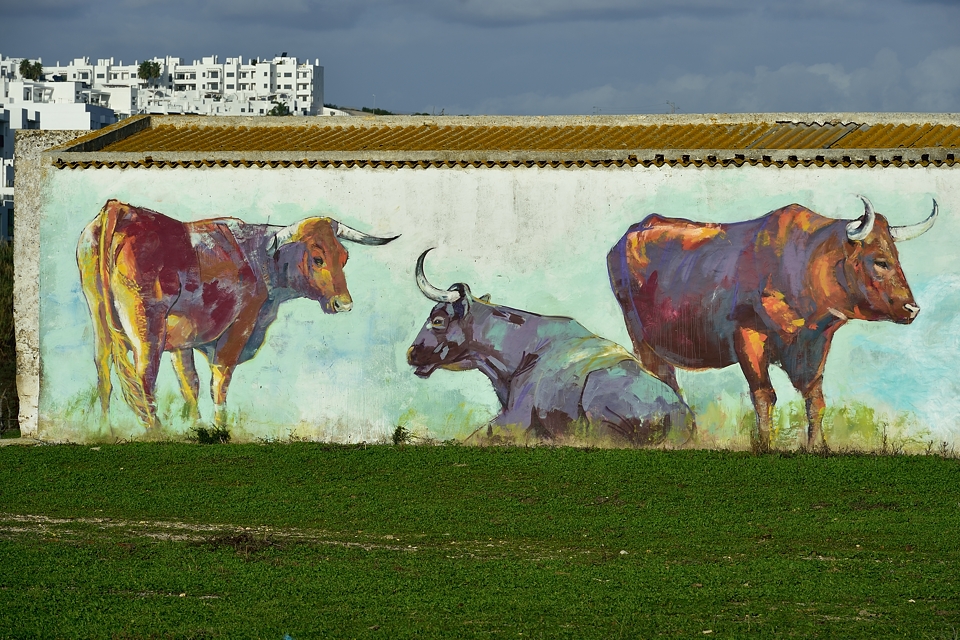 Bei Conil de la Frontera, Andalusien