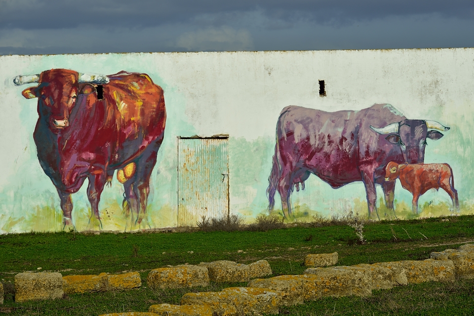 Bei Conil de la Frontera, Andalusien